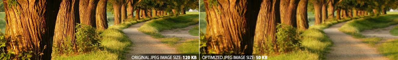 Optimized Bg Optim